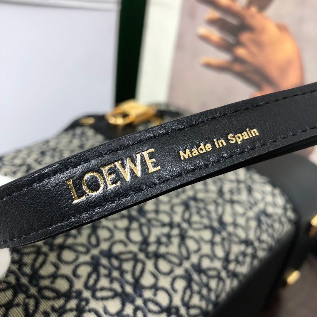 Loewe Amazona 28 Bag in Black Calfskin and Beige Monogram Fabric
