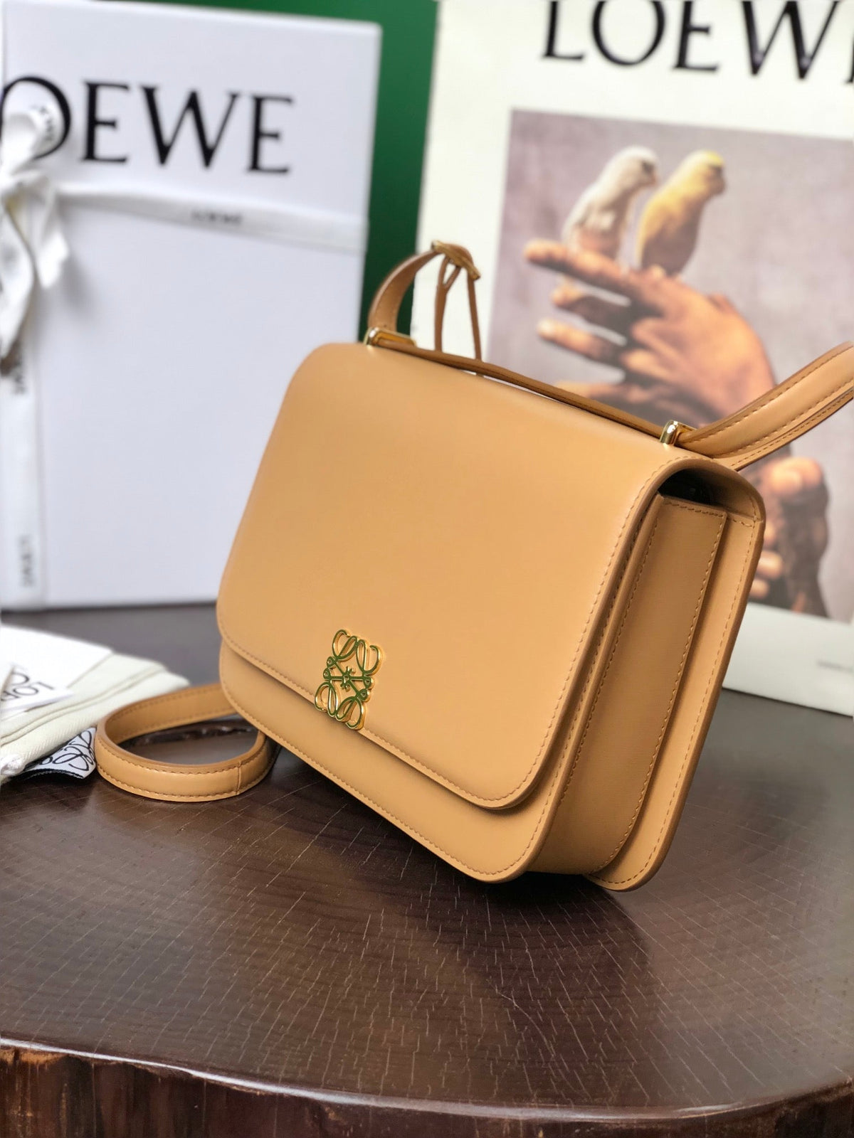 Loewe Goya Bag 23 in Copper Brown Calfskin