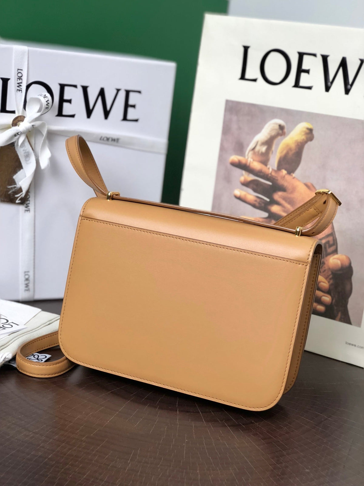 Loewe Goya Bag 23 in Copper Brown Calfskin
