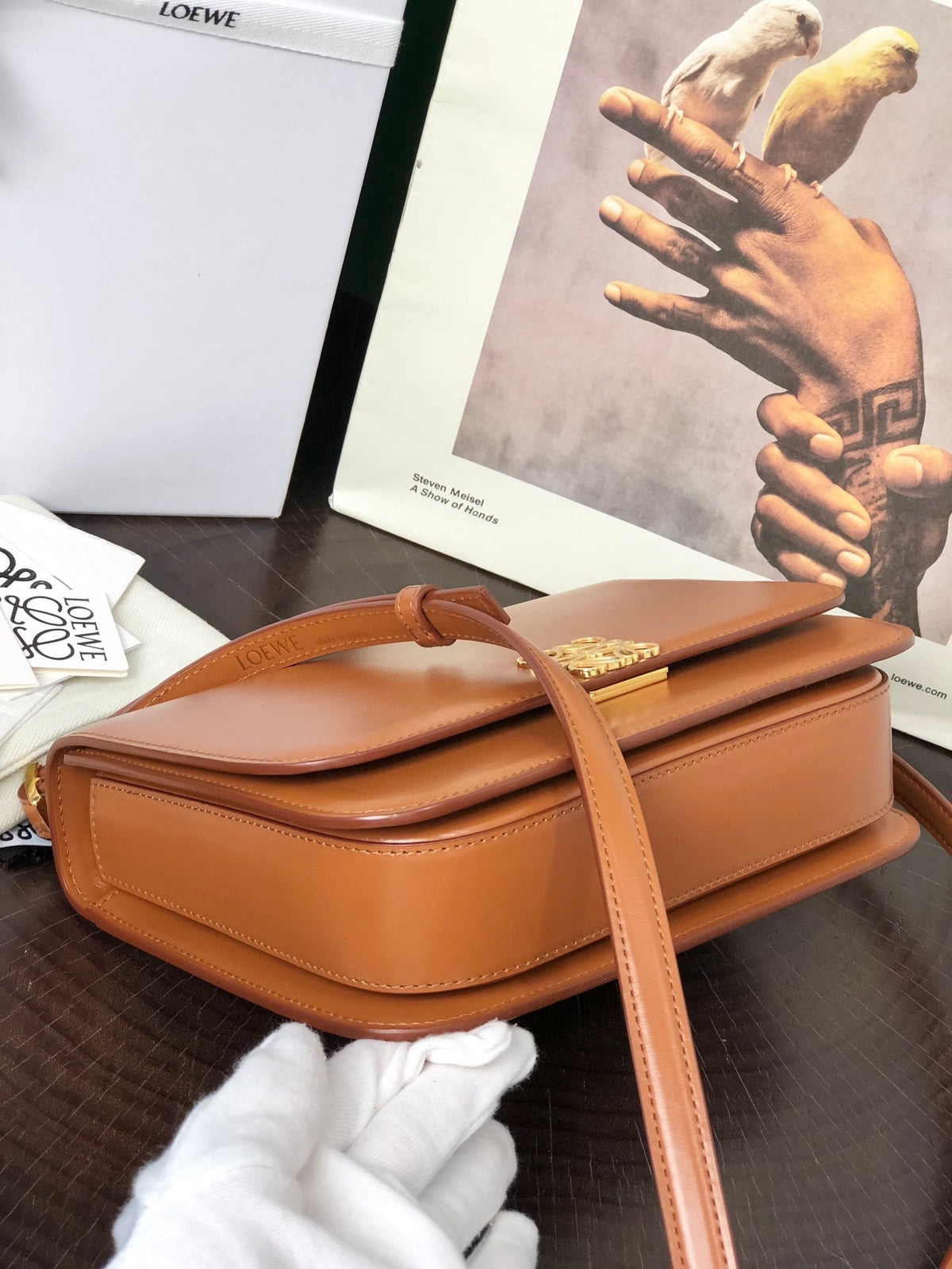 Loewe Goya Bag 23 in Warm Desert Silk Calfskin