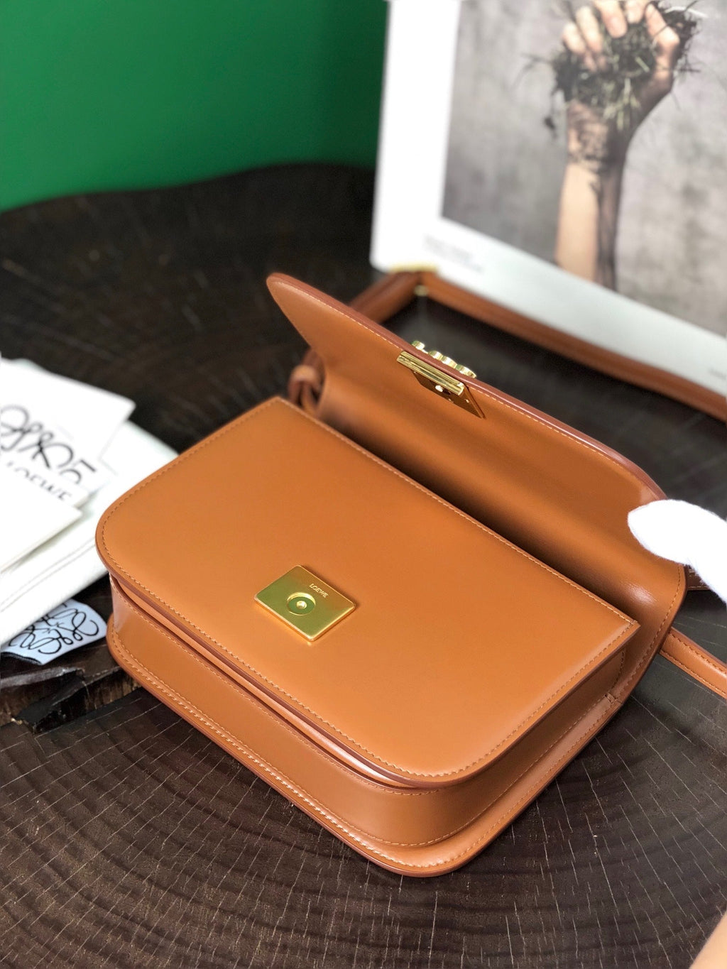 Loewe Goya Bag 23 in Warm Desert Silk Calfskin