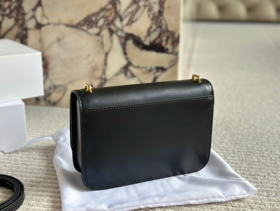 Loewe Goya Bag 23 in Black Silk Calfskin