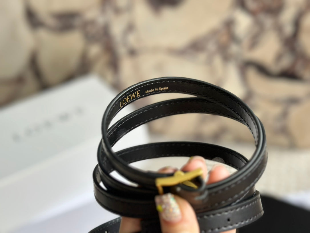 Loewe Goya Bag 23 in Black Silk Calfskin