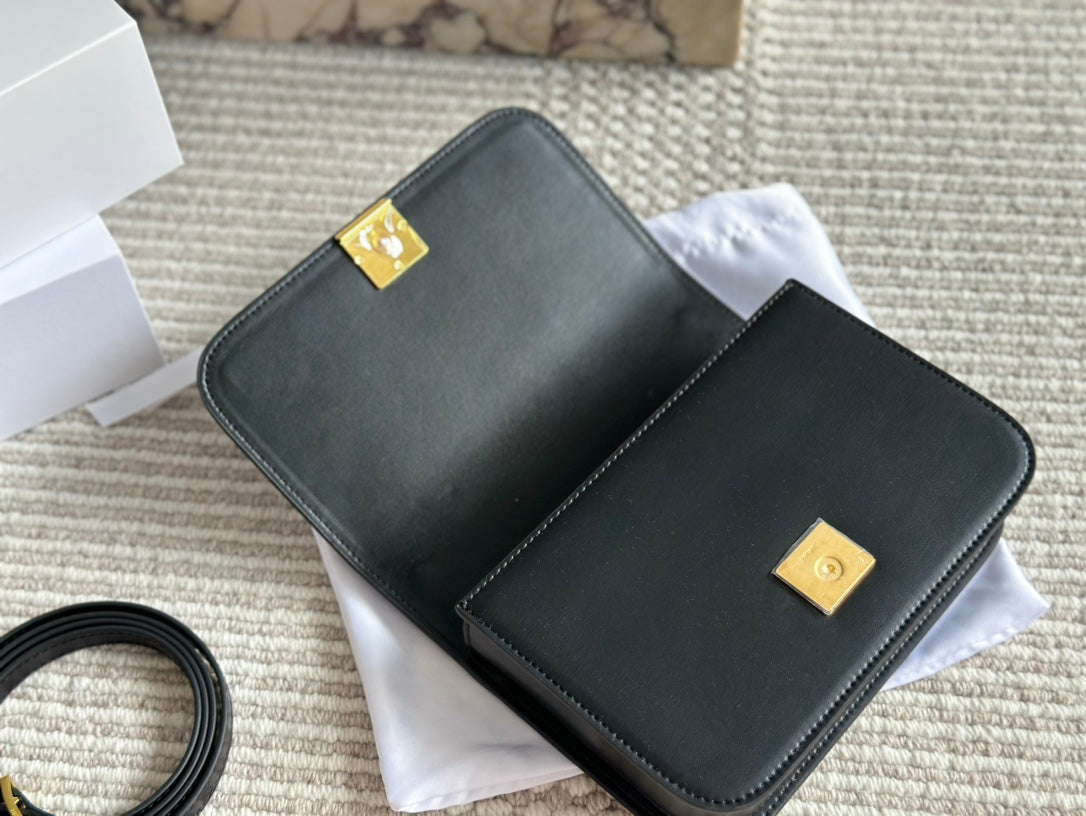 Loewe Goya Bag 23 in Black Silk Calfskin